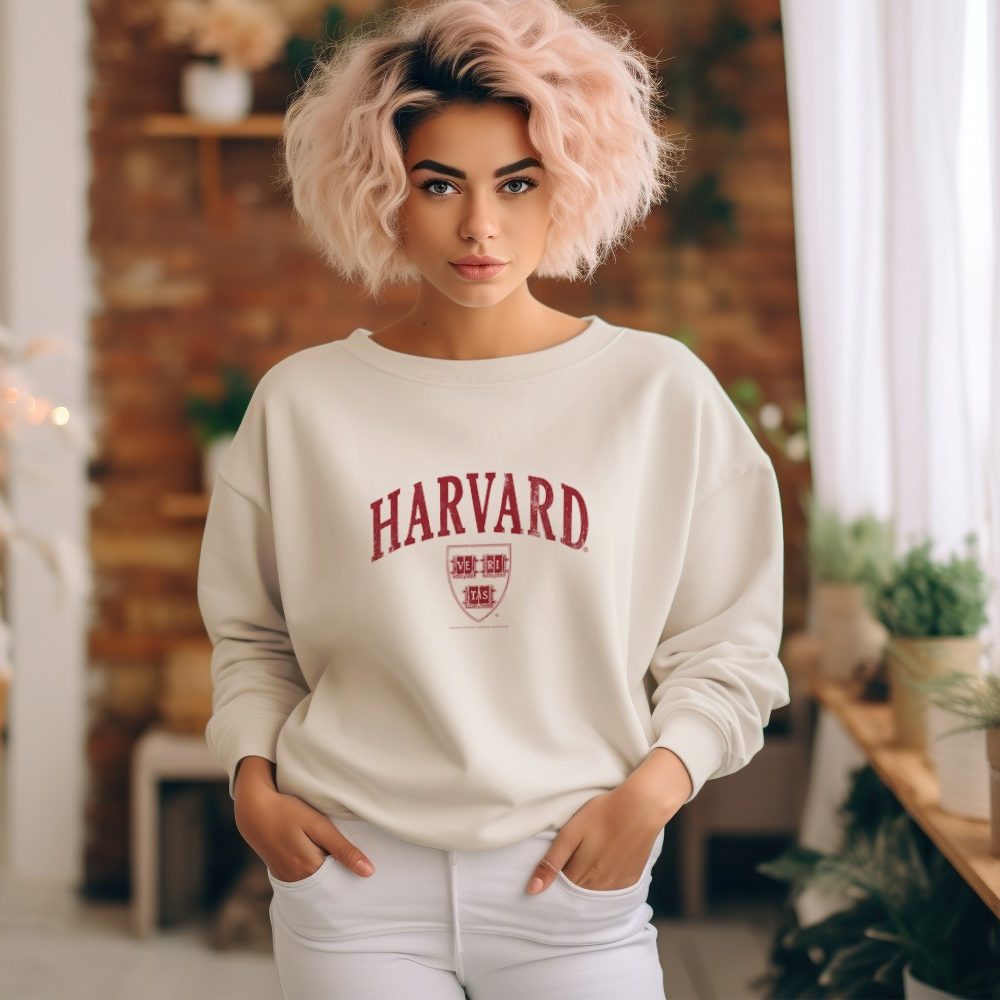 Sweat oversize coton bio Femme Harvard avec un design de Harvard Arc Écusson Used rouge